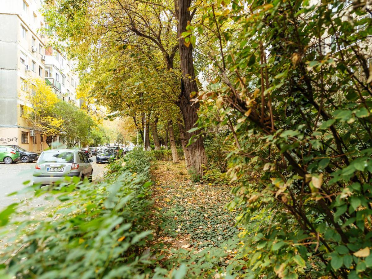 Woody - Cozy And Quiet Place Near Moghioros Park Bucareste Exterior foto